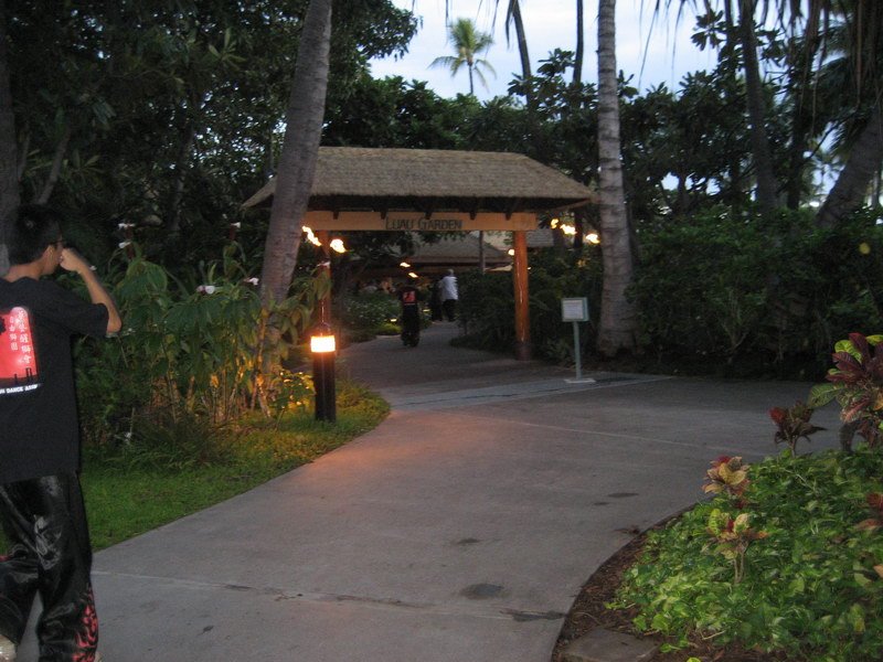 waikikiimg_4527.jpg