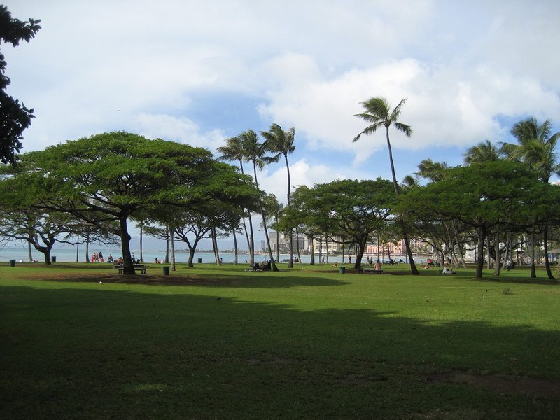 waikikiimg_4592.jpg