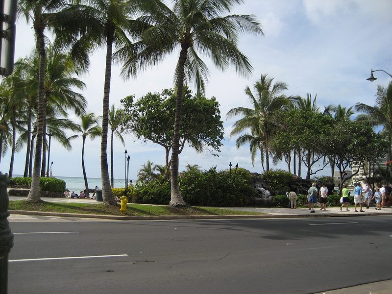 waikikiimg_4599.jpg