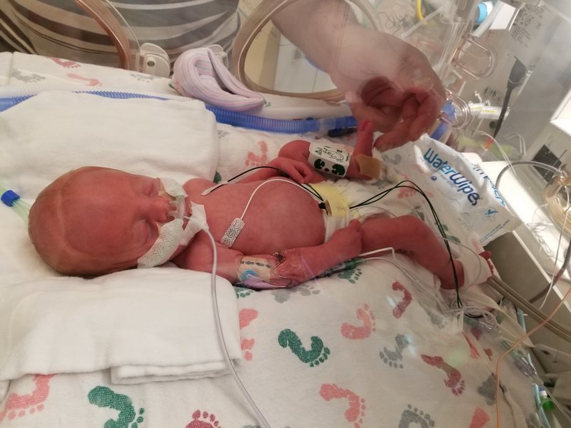 nicu_robby20190827_121817.jpg