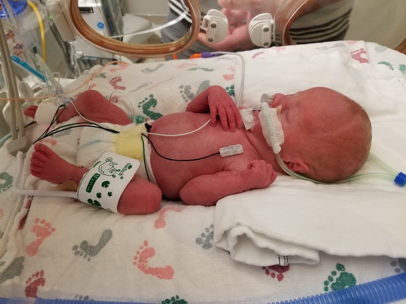 nicu_robby20190827_122421.jpg