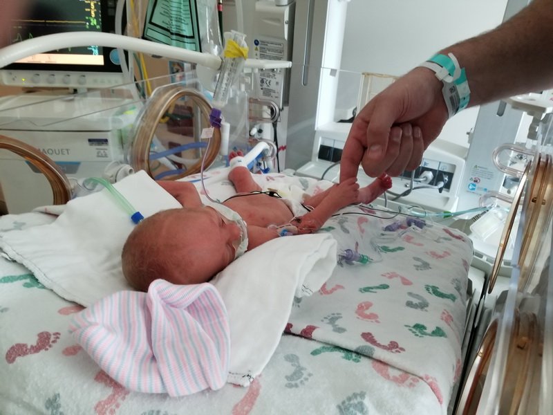 nicu_robby20190828_165911.jpg