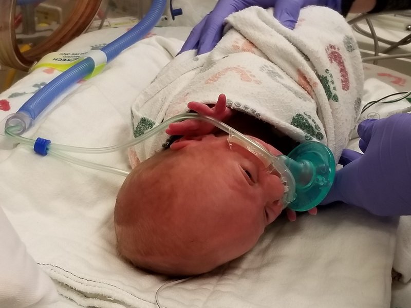 nicu_robby20190902_093937.jpg