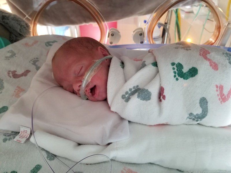 nicu_robby20190903_172412.jpg