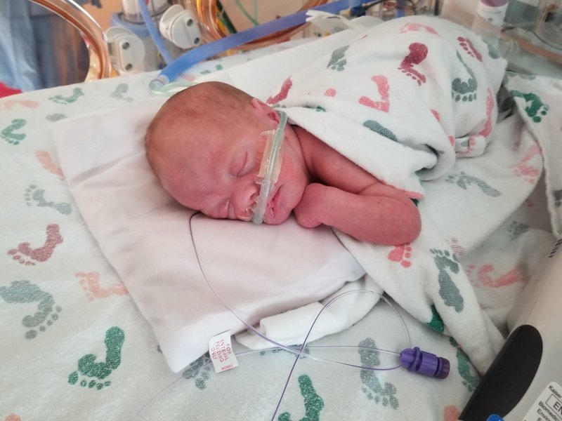 nicu_robby20190903_173927.jpg