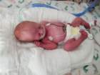 nicu_robby20190905_171653_small.jpg