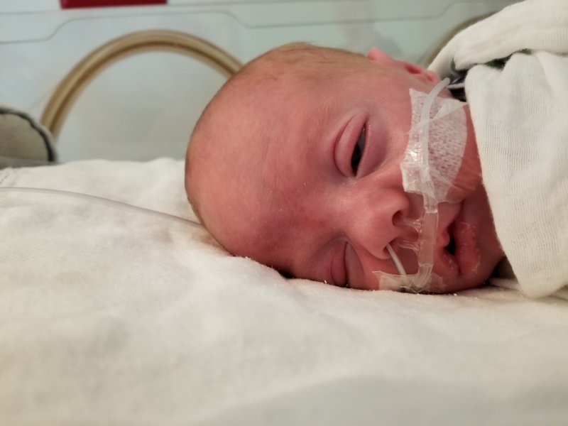 nicu_robby20190916_171154.jpg