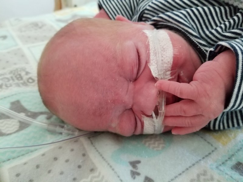 nicu_robby20190918_171042.jpg