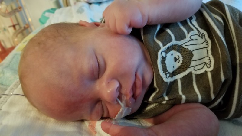 nicu_robby20190930_141819.jpg