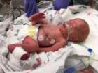 nicu_robbyimg_2989_small.jpg