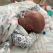 nicu_robbyimg_3053_small.jpg