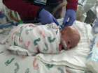 nicu_robbyimg_3097_small.jpg