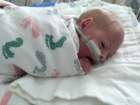 nicu_robbyimg_3103_small.jpg