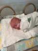 nicu_robbyimg_3188_small.jpg