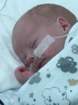 nicu_robbyimg_3222_small.jpg