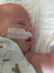 nicu_robbyimg_3315_small.jpg