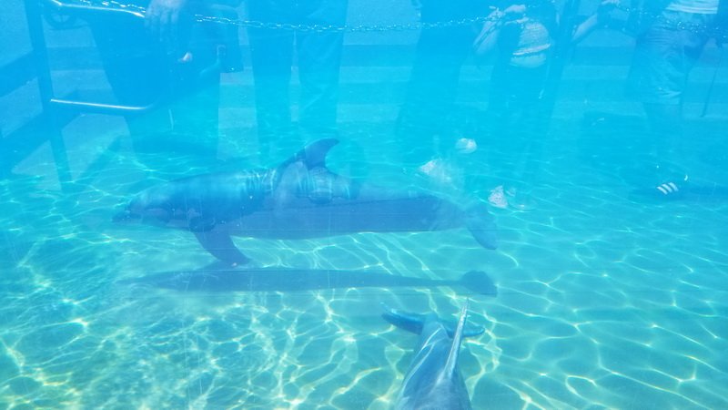 seaworld20210711_141141.jpg