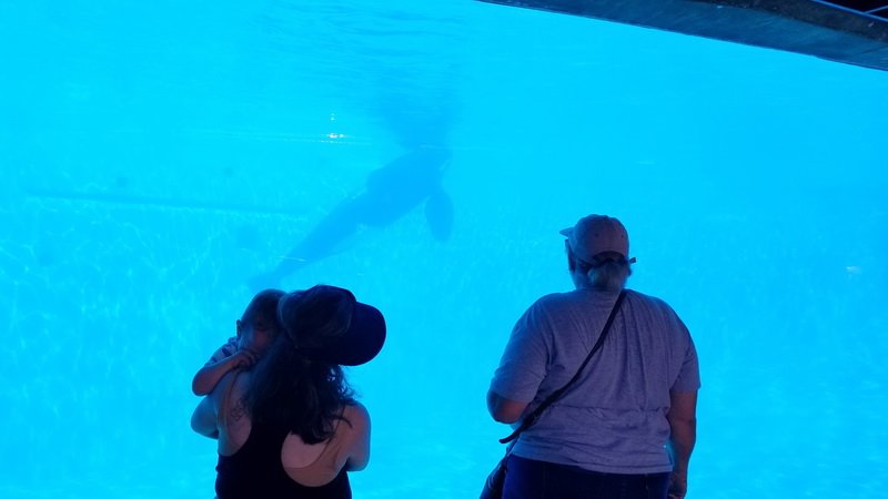 seaworld20210718_103127.jpg