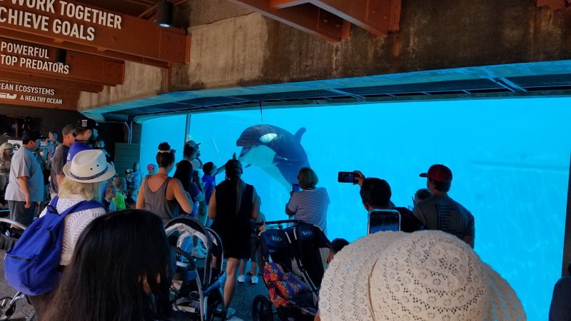 seaworld20210811_103415.jpg