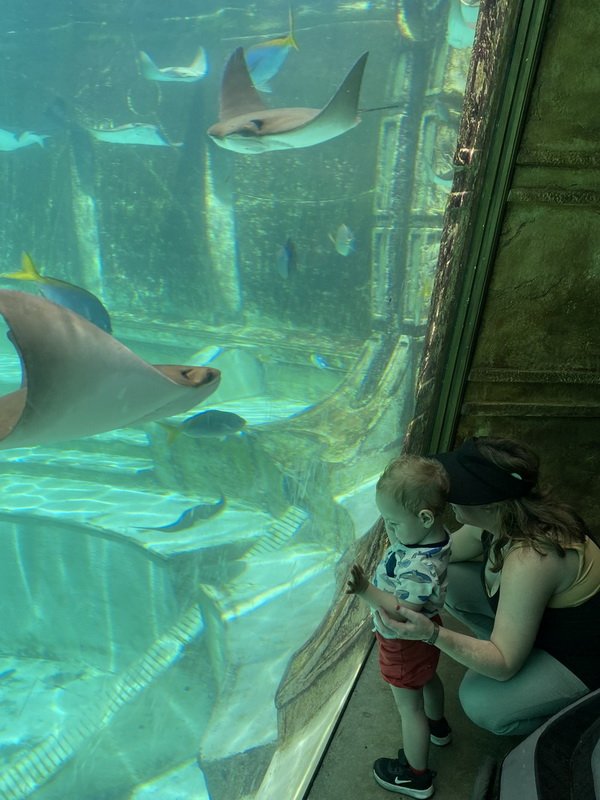 seaworldimg_9564.jpg