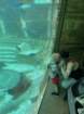 seaworldimg_9565_small.jpg