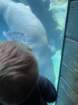 seaworldimg_9113_small.jpg