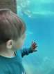 seaworldimg_9115_small.jpg