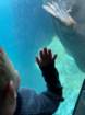 seaworldimg_9127_small.jpg