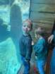 seaworldimg_9132_small.jpg