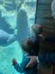 seaworldimg_9133_small.jpg