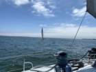 sailingimg_0818_small.jpg