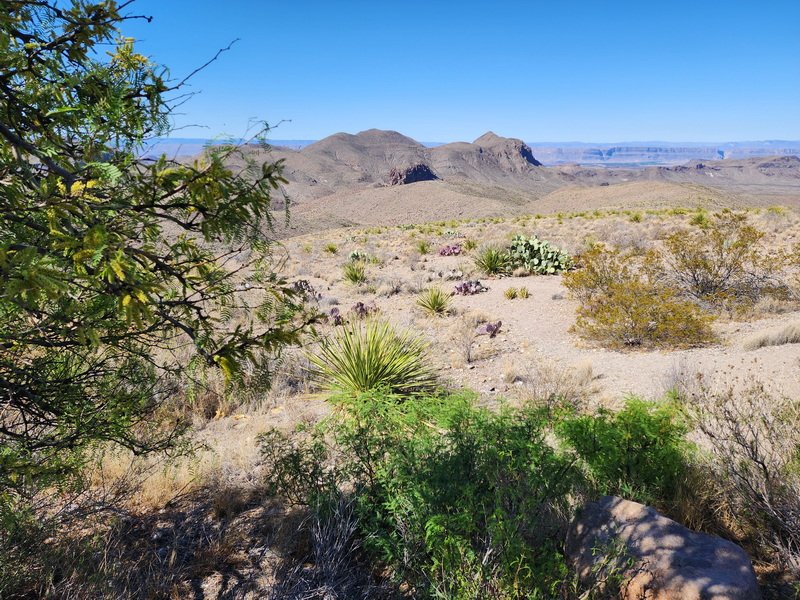 cbigbend20240403_111445.jpg