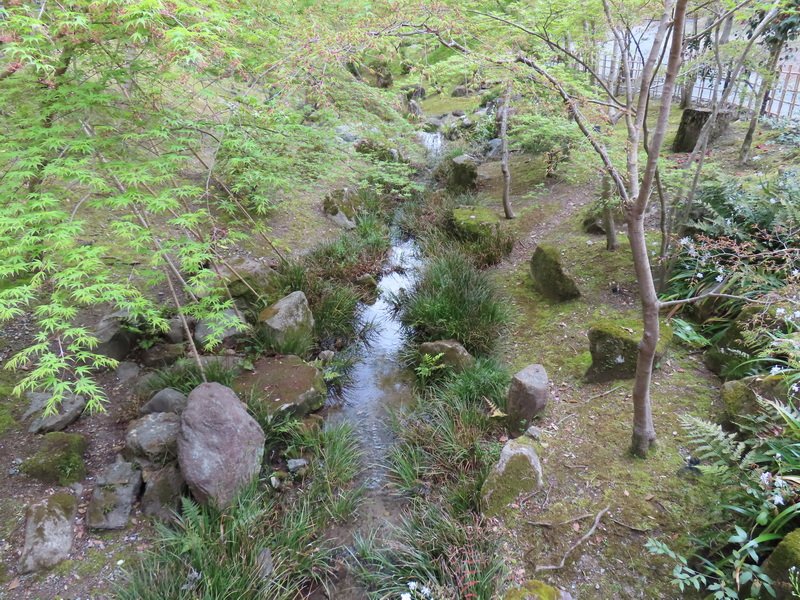 cbimg_5783.jpg