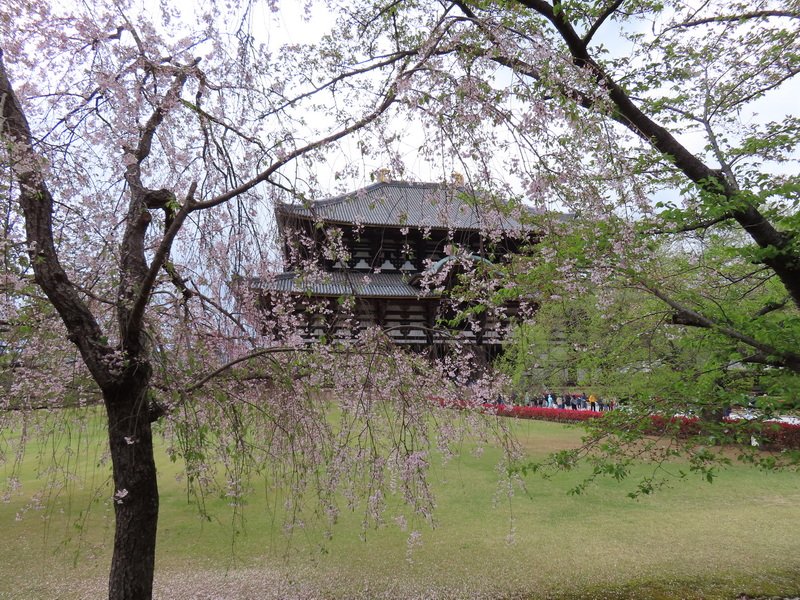 cbimg_5803.jpg