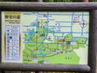 tj20250415_153757_small.jpg