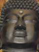tj20250415_155405_small.jpg