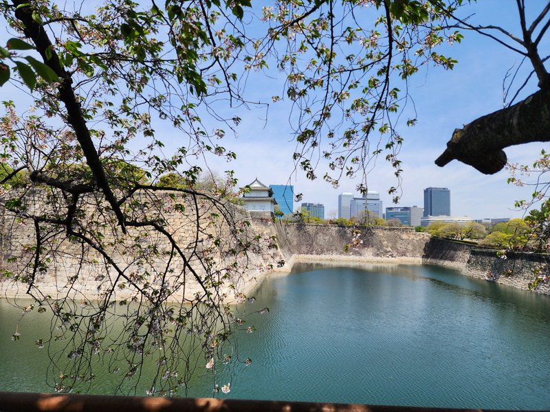 tj20250417_113744.jpg