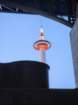 tj20250418_183613_small.jpg