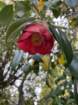 cbimg_7155_small.jpg