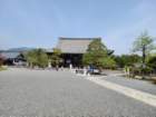 tj20250419_095053_small.jpg