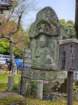 tj20250419_110332_small.jpg