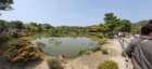 tj20250419_115507_small.jpg