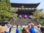 tj20250419_124813_small.jpg