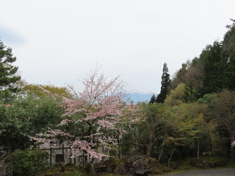 cbimg_6309.jpg