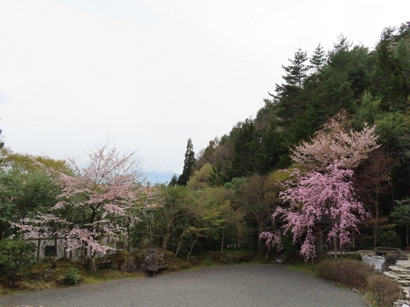 cbimg_6317.jpg