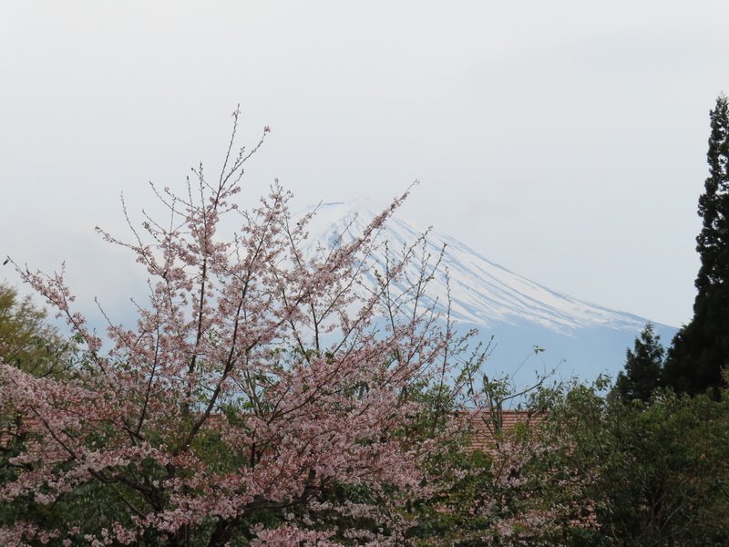 cbimg_6319.jpg