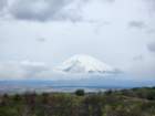 tj20250420_104138_small.jpg