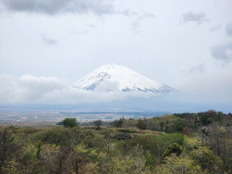tj20250420_104139.jpg