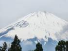 tj20250420_104426_small.jpg