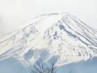 tj20250420_111914_small.jpg